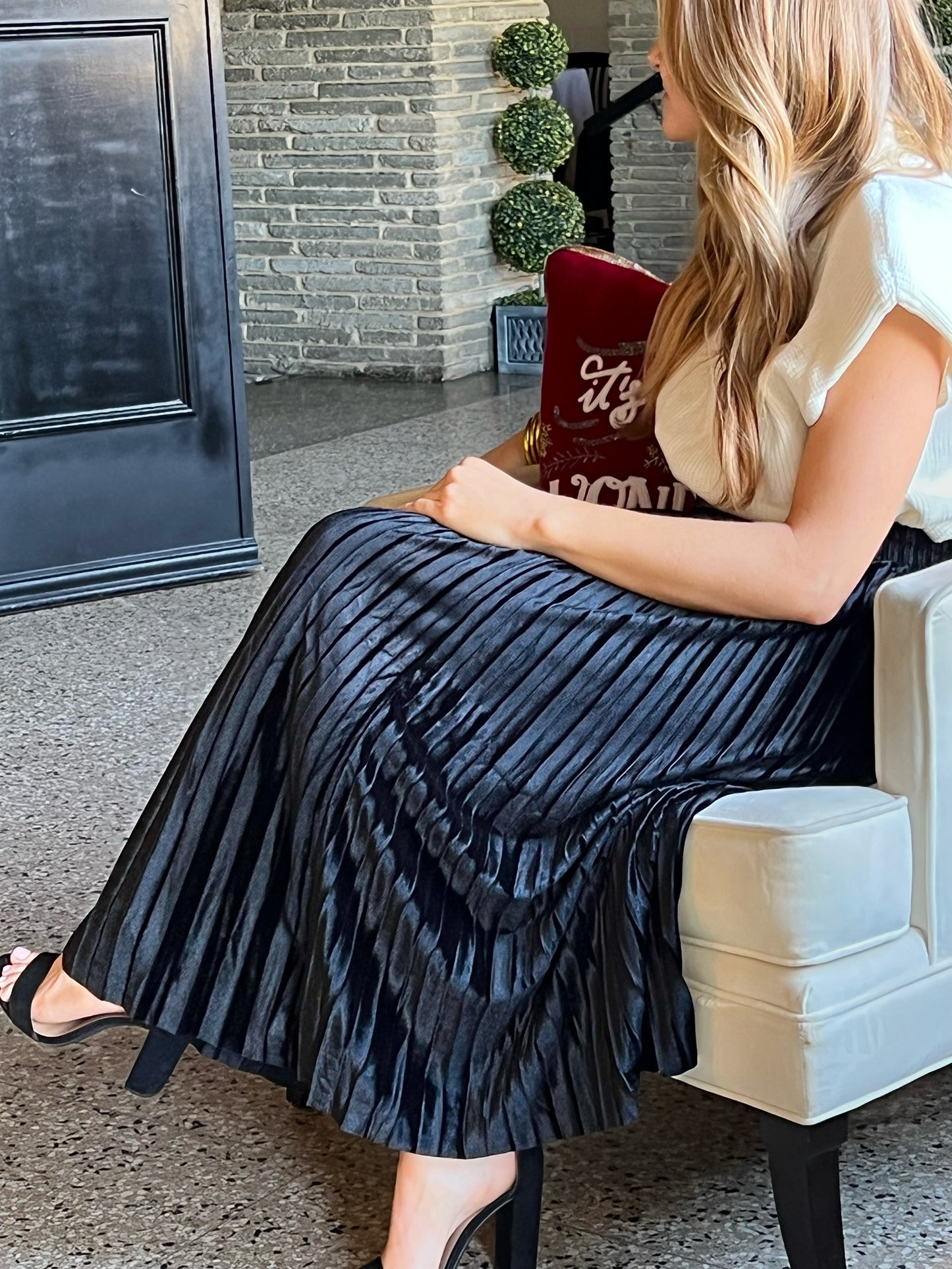 Velvet Pleated Skirt